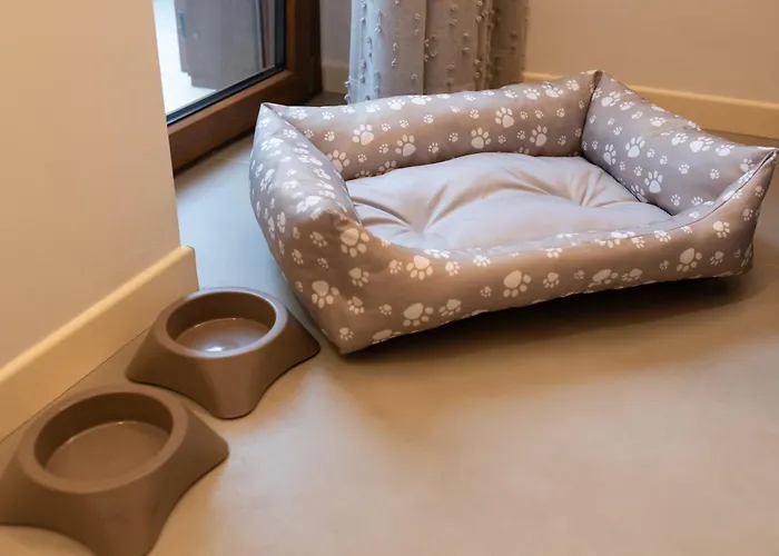 Le Cementine Pescara